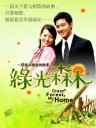 绿光森林(立威廉阮经天)